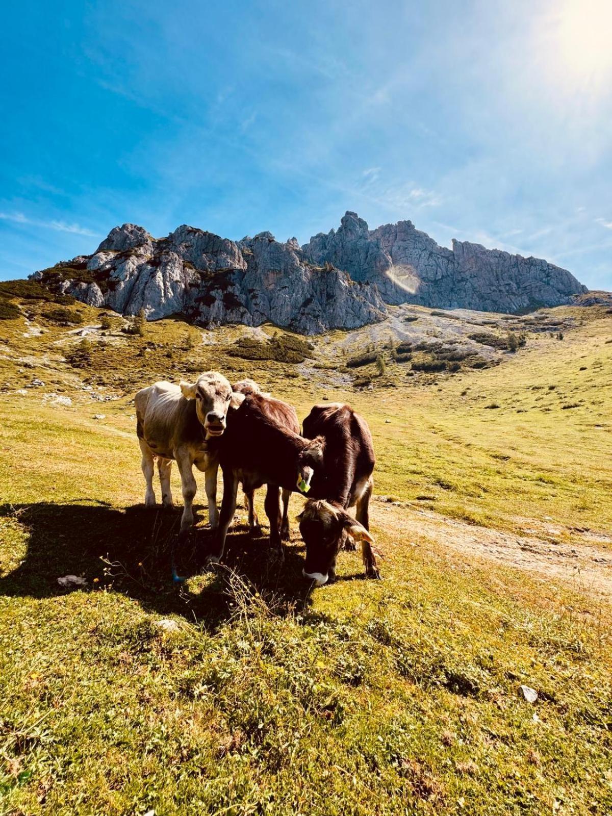 Stubihuettn Apartamento Sonnenalpe Nassfeld Exterior foto